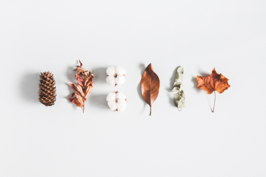 Autumn composition. Pattern made of eucalyptus branches, cotton flowers, dried leaves on pastel gray background. Autumn, fall concept. Flat lay, top view